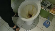 poster-17955-canal-media-management-crookies-236x132