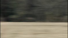 poster-17965-gin-no-sara-sushi-experiment-236x132