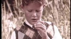 poster-1797-nestle-rolo-l-elephant-rancunier-236x132