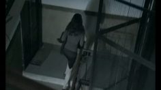 poster-17993-lovable-surprise-party-236x132