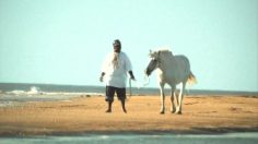 poster-18009-personal-music-store-ricky-236x132