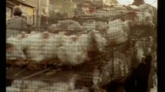 poster-18048-protection-enfance-anti-abus-sexuel-the-hand-236x132