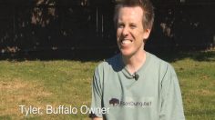 poster-18057-pedigree-pedigree-adoption-drive-buffalo-236x132