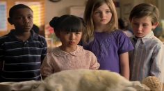 poster-18075-minute-maid-bunny-236x132