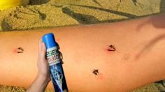 poster-18077-esemmat-insecticide-balance-of-nature-236x132