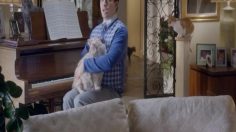 poster-18085-cottonelle-roll-poll-compilation-236x132