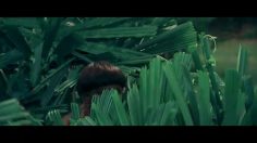 poster-18090-ipren-in-the-jungle-of-pain-236x132