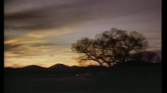 poster-1810-pepsi-diet-michael-j-fox-236x132