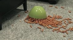 poster-18102-subaru-outback-axe-236x132