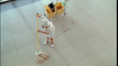 poster-18119-mcdonald-s-cleaner-236x132