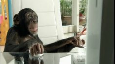 poster-18120-europcar-missing-link-236x132