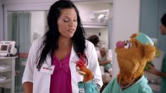 poster-18129-disney-parks-and-resorts-hospital-236x132