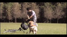 poster-18164-protection-sante-don-du-sang-stick-236x132