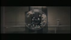 poster-18165-protection-enfance-lottery-236x132