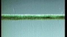 poster-1820-lacoste-couture-236x132