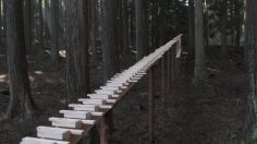 poster-18214-ntt-docomo-touch-wood-sh-08c-xylophone-236x132