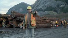 poster-18222-snickers-logging-236x132