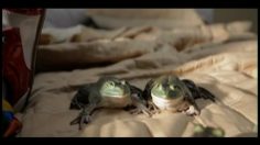 poster-18230-embratel-bedroom-236x132