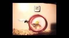 poster-18271-1-time-holidays-package-holidays-life-is-short-236x132