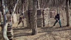 poster-18272-mcdonald-s-paintball-236x132