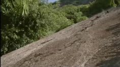 poster-18315-johnnie-walker-rock-giant-236x132