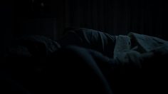 poster-18322-domestos-big-eater-236x132