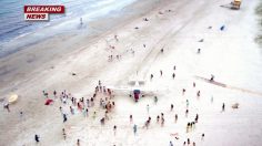 poster-18326-lynx-attract-epidemic-236x132