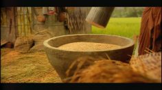 poster-18330-saridon-pound-236x132