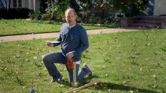 poster-18357-trugreen-magic-236x132