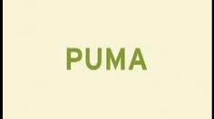 poster-18378-zoo-san-francisco-puma-236x132