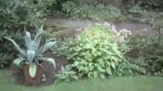 poster-18389-toombaumarkt-ralentisseurs-236x132