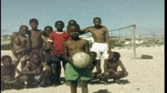 poster-18400-adidas-sonny-236x132