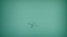 poster-18439-greenpeace-anti-ogm-parachutisme-236x132