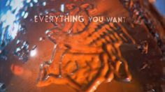 poster-18474-budweiser-light-ability-to-fly-236x132