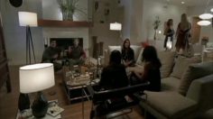 poster-18475-budweiser-light-wine-and-cheese-party-236x132