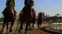 poster-18499-glaceau-vitaminwater-jockey-236x132