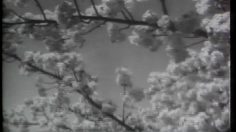 poster-1851-gandukor-symphonie-236x132