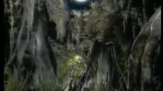 poster-18524-budweiser-crapauds-iii-236x132