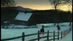 poster-18527-budweiser-horses-236x132