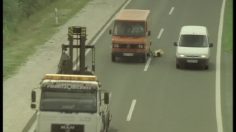 poster-18638-proximus-van-236x132