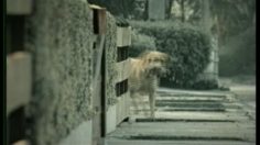 poster-18650-bridgestone-pneus-le-chien-236x132