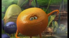 poster-18738-oasis-les-fruits-qui-chantent-236x132