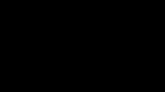 poster-18746-greenpeace-protection-environnement-fondation-236x132