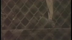 poster-18747-greenpeace-distributeur-d-air-236x132