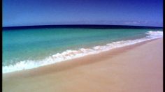 poster-18757-greenpeace-protection-environnement-la-mer-236x132