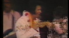 poster-18828-nissin-cup-noodle-elvis-236x132