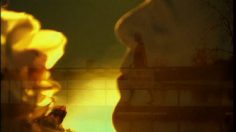 poster-18829-the-sunday-times-ian-dury-236x132