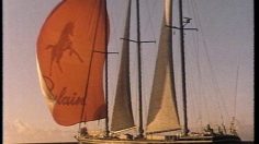 poster-18856-poulain-brut-de-noir-danse-africaine-236x132