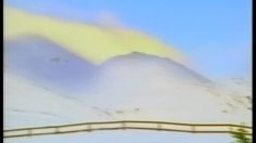 poster-1888-vizir-l-oiseau-236x132