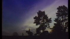 poster-18881-ali-kaffe-autant-en-emporte-le-vent-236x132